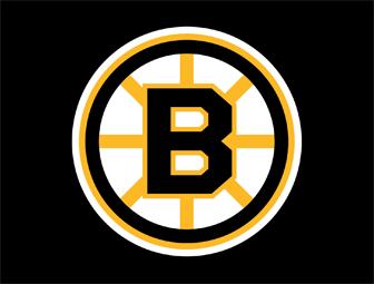 Bruins Hockey Stick