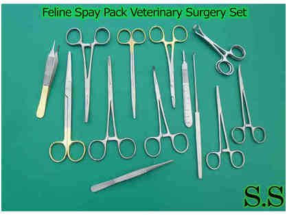 BE A HERO- Purchase a spay surgery pack/kit
