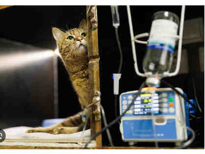 BE A HERO! -- EMERGENCY HOSPITAL FUND