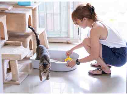 BE A HERO-JOIN THE CLEAN KITTY COMMITTEE!