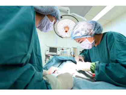 BE A HERO- HELP US SAVE LIVES! - ONE SURGERY AT A TIME!