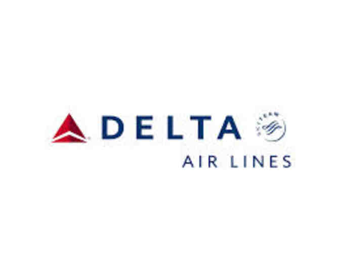 Delta Airlines Flight Simulator Expeience