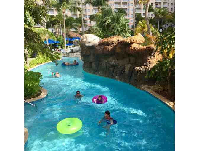 A week at the Marriott Aruba Surf Club: April 4 to 11, 2025 - Photo 2