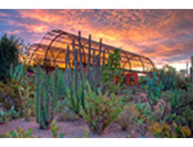 Enjoy the Desert Botanical Garden with the Family