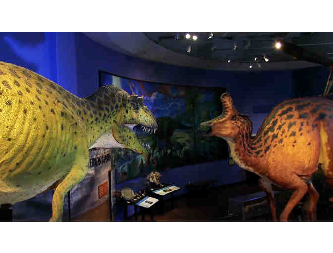 Celebrate the 150th Anniversary of the San Diego Natural History Museum - Photo 1