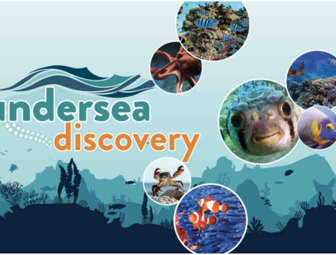 Tucson with the Kids