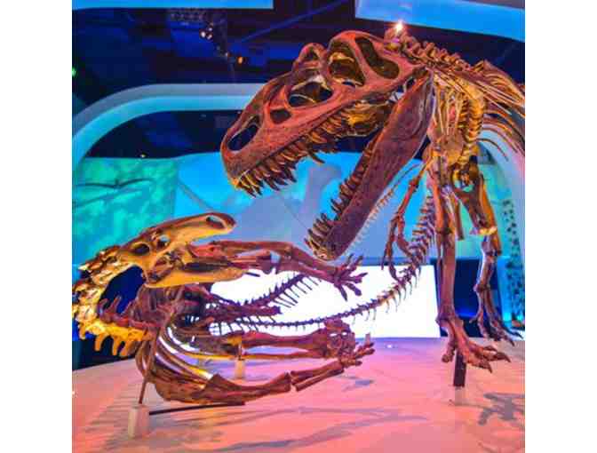 Out and About in Dallas-Fort Worth