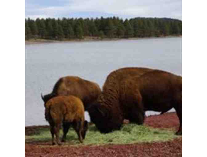 Spin It! Stroll It! Soar It! at Bearizona - Photo 3