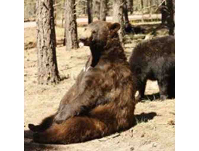 Spin It! Stroll It! Soar It! at Bearizona - Photo 4