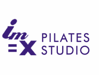 IM=X Pilates - 1hr private session, Pilates ring and floorwork DVD (#2)