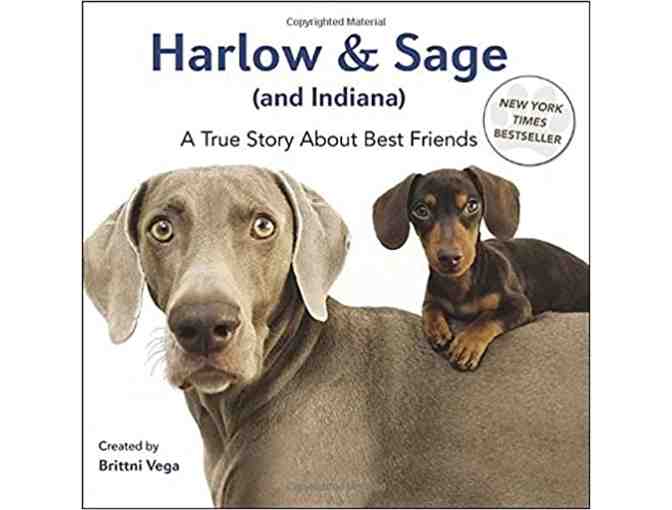 Harlow & Sage (and Indiana): A True Story About Best Friends