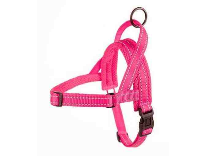 Harness, Collar and Leash Set from doxinmotion.co !!  In PINK!!!  ALL THREE!!!