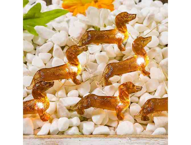 Doxie LED String lights