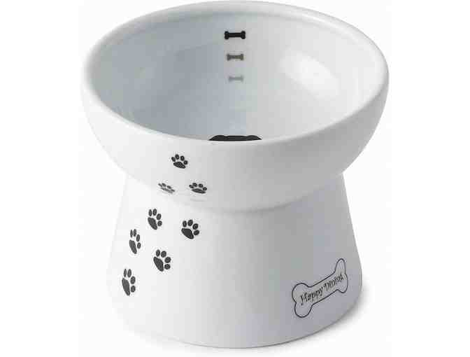 Necoichi Ceramic Elevated Dog Food Bowl, 1.5-cup