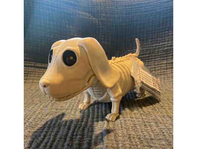 Just in time for Halloweenie! Animated Dachshund Skeleton