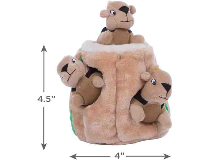 Outward Hound Hide A Squirrel Plush Dog Toy Puzzle, Small