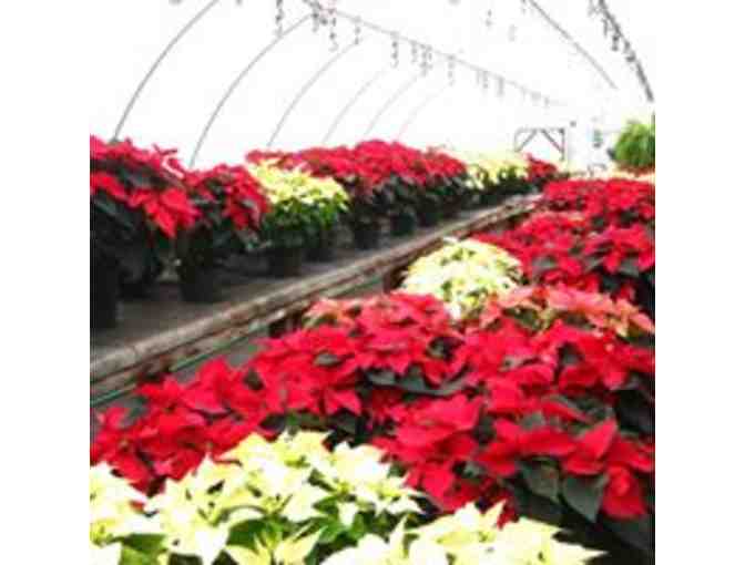 Decker's Flats Greenhouse $25 Gift Certificate