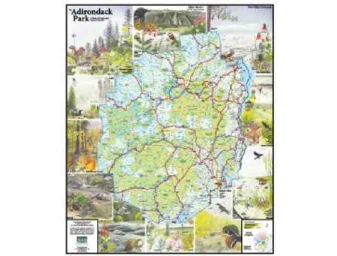 Adirondack Park Laminated Map & Loon Tankard Set