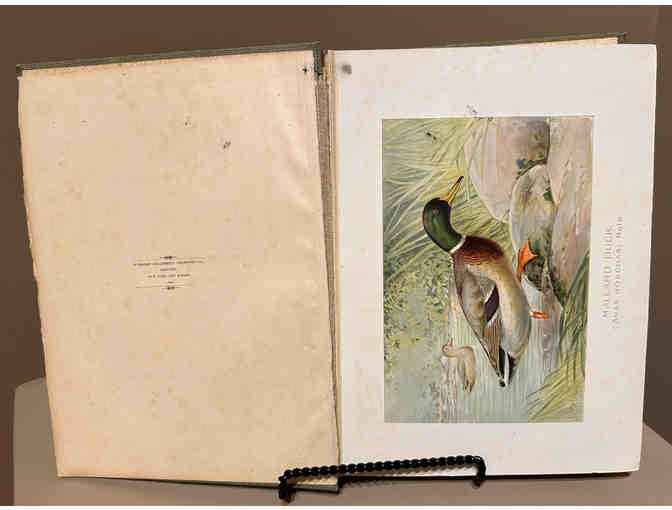 Fisheries Game and Forest Annual Report 1899