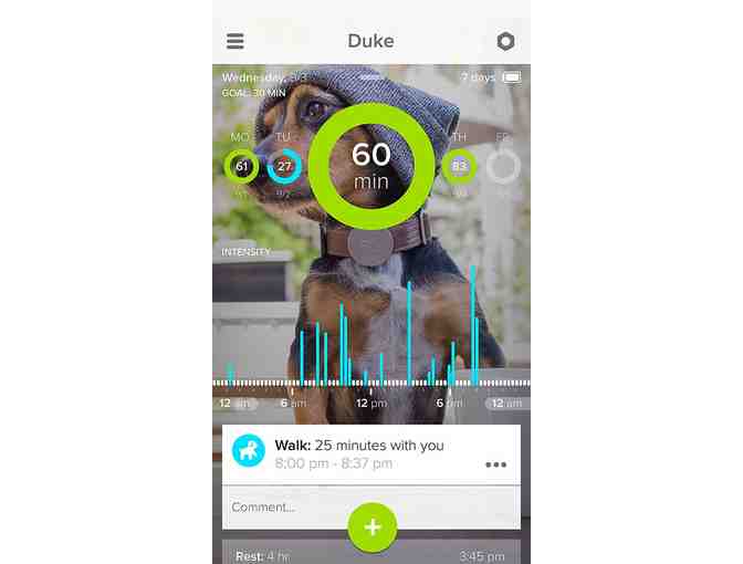 Whistle Activity Monitor For Dogs