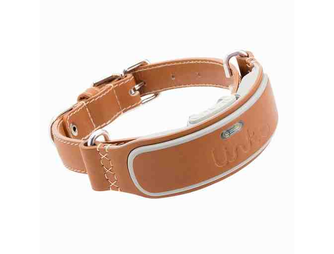 Link AKC Smart Dog Collar with GPS Tracker & Activity Monitor (Leather or Sport)