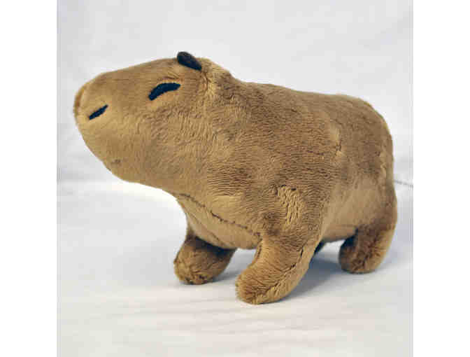 Capybara Plush Dolls - Toy for Kids - Stuffed Animal