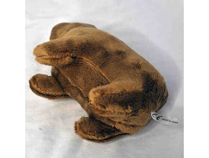 Capybara Plush Dolls - Toy for Kids - Stuffed Animal