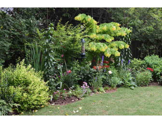 EXPLORE THE BEAUTIFUL GARDENS OF ATHENS WITH DR. ALLAN ARMITAGE