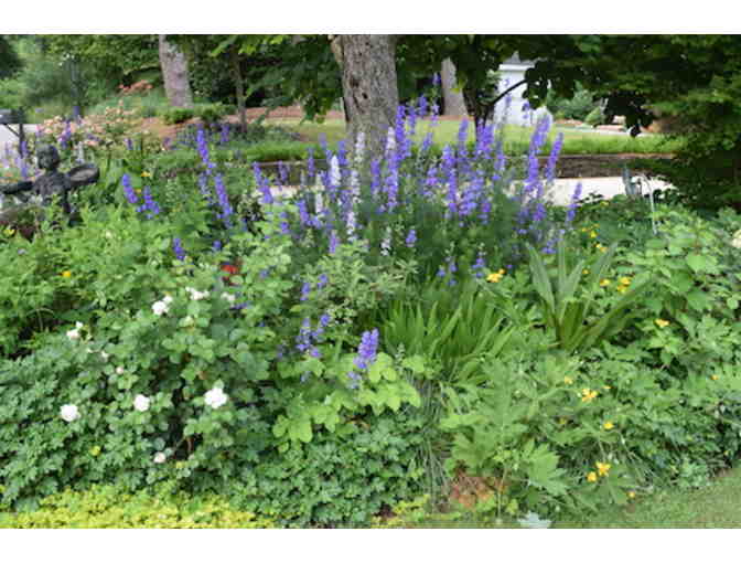 EXPLORE THE BEAUTIFUL GARDENS OF ATHENS WITH DR. ALLAN ARMITAGE