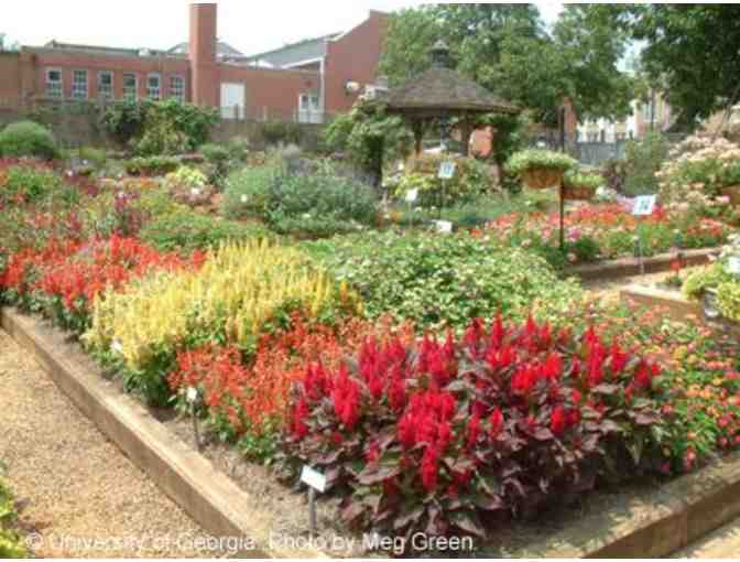 EXPLORE THE BEAUTIFUL GARDENS OF ATHENS WITH DR. ALLAN ARMITAGE