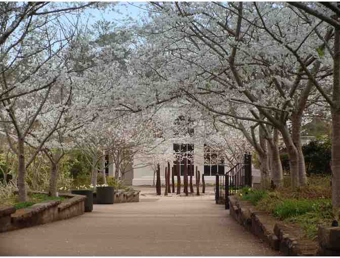 Birmingham Botanical Gardens Tour, Lunch, and stay at the Grand Bohemian Hotel