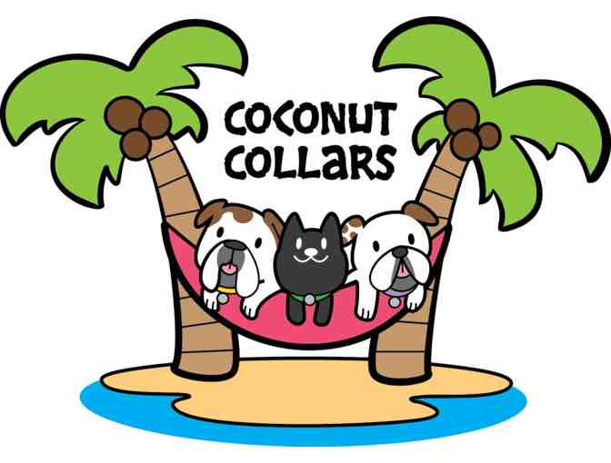 $50 Gift Card from Coconut Collars and Hand-Stamped Pet Tag from Wanderlust Jewelry