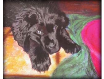 'AN AWESOME GIFT OF ART' #5  YOUR FAVORITE PET become a work of heART!!! 30x40' CANVAS!