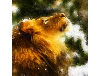 LION IN WINTER by Featured Artist Rebelwolf
