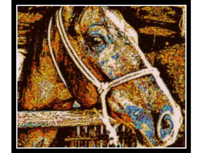 1 AWESOME GIFT for PET LOVERS only! Digital Art Portraits of YOUR Dog, Cat, Horse!! :)!