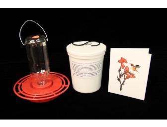 Birdfeeder Starter Kit from the Wild Bird Store