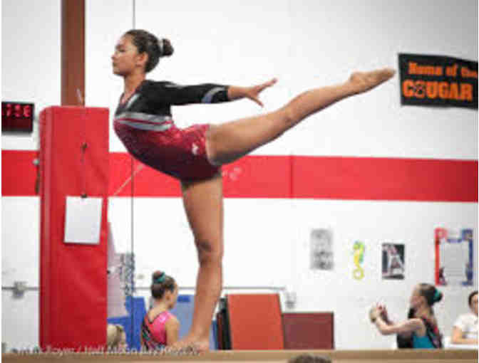 Gymtowne Gymnastics - ONE month tuition