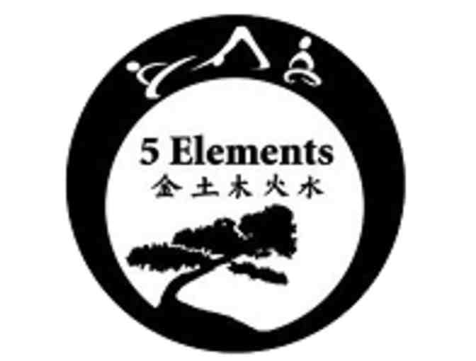 Learn Kung Fu & Tai Chi with 5 Elements Kung Fu - Photo 1