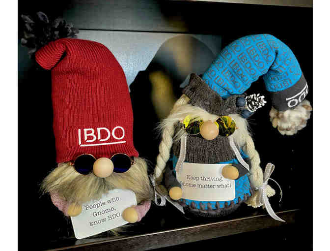 BDO Gnomes - Photo 1