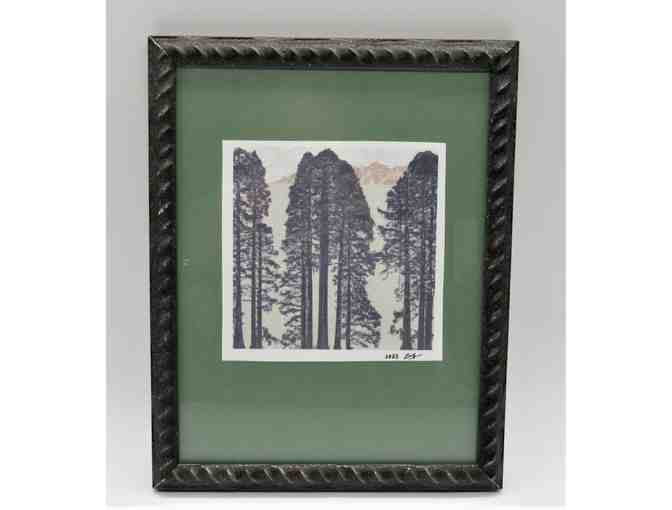 Redwood Peace - Framed Print by Penelope Andrews
