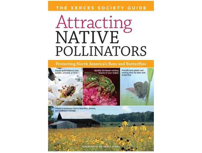 Beekeeping Starter Kit - Hive, Pollinator Book, and Native Plant Collection