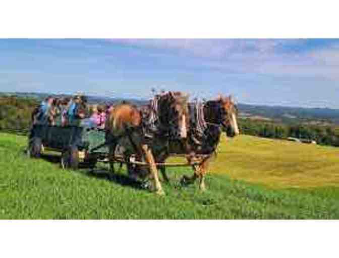 Kingdom's Horse Drawn Wagon and Sleigh Rides