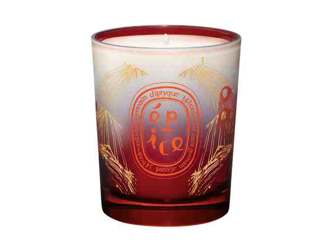 Diptyque Scented Candle Epice