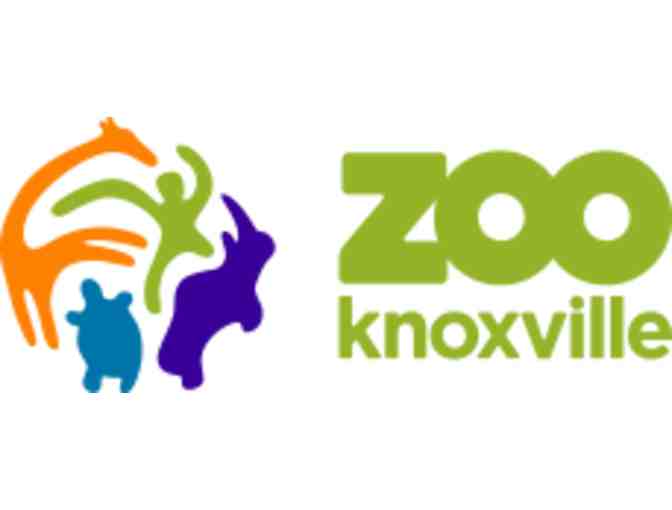 Zoo Knoxville behind-the-scenes tour for four with the elephants