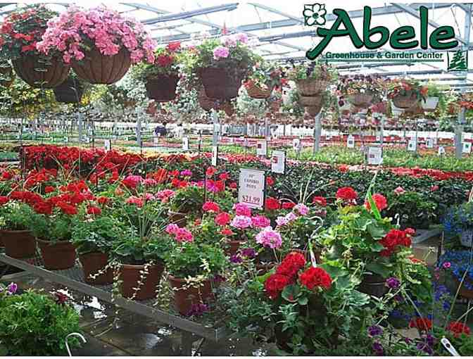 Abele Greenhouse $35 Gift Card