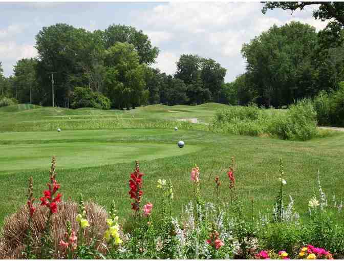 18 Holes of Golf for Four with Carts at Currie Golf Courses