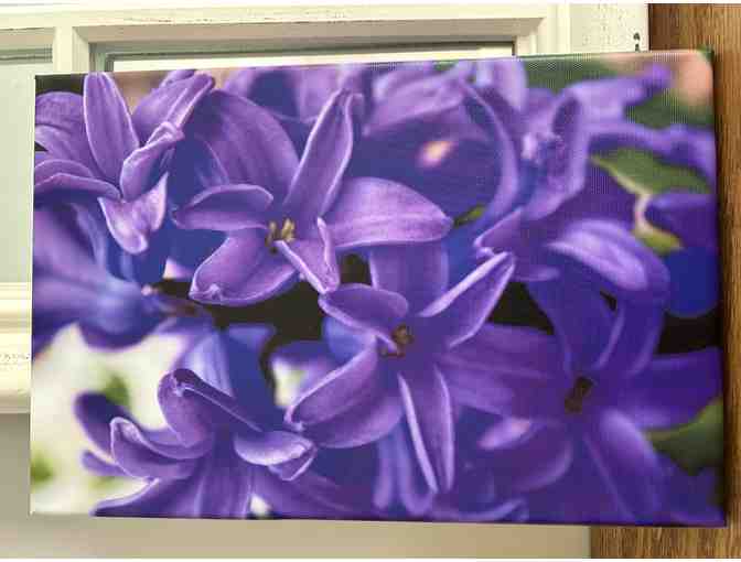 Lilac Canvas