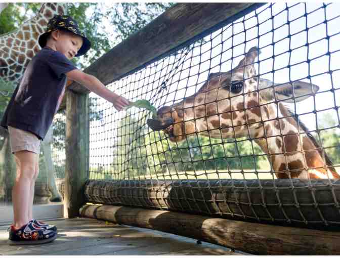 Family Day at Binder Park Zoo - Photo 1