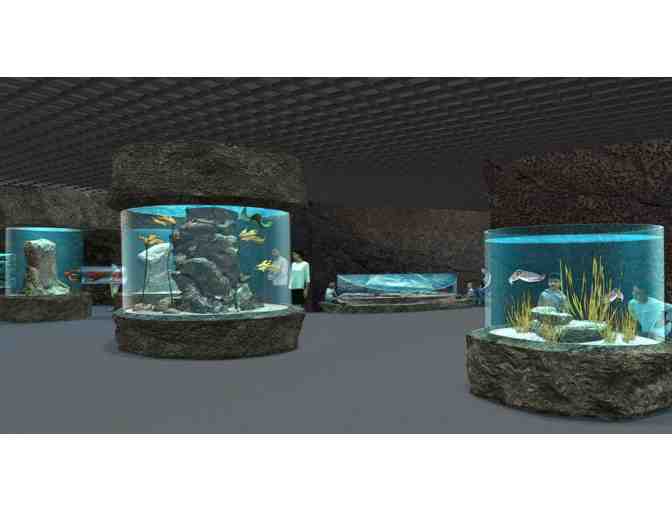 The Florida Aquarium - Tampa