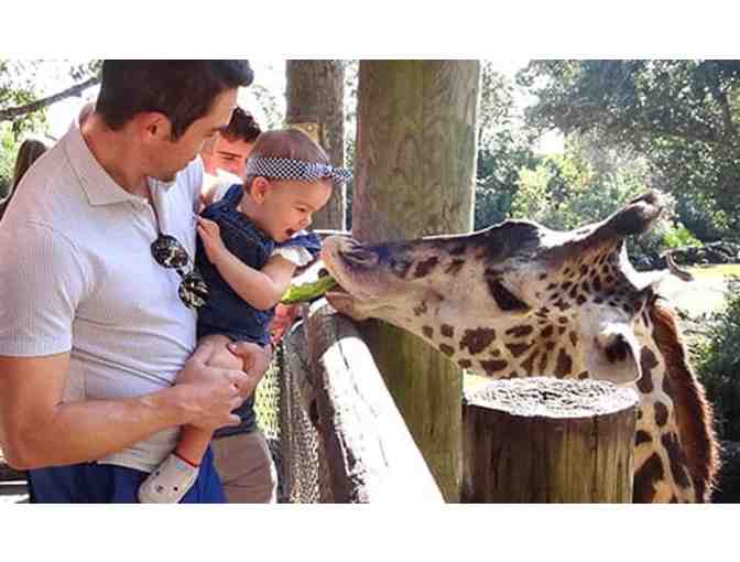 Brevard Zoo - Melbourne, FL